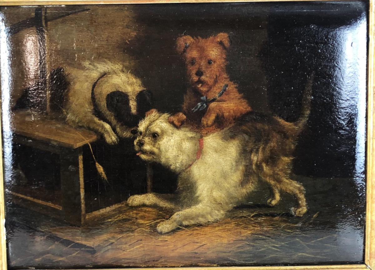 chiens 2