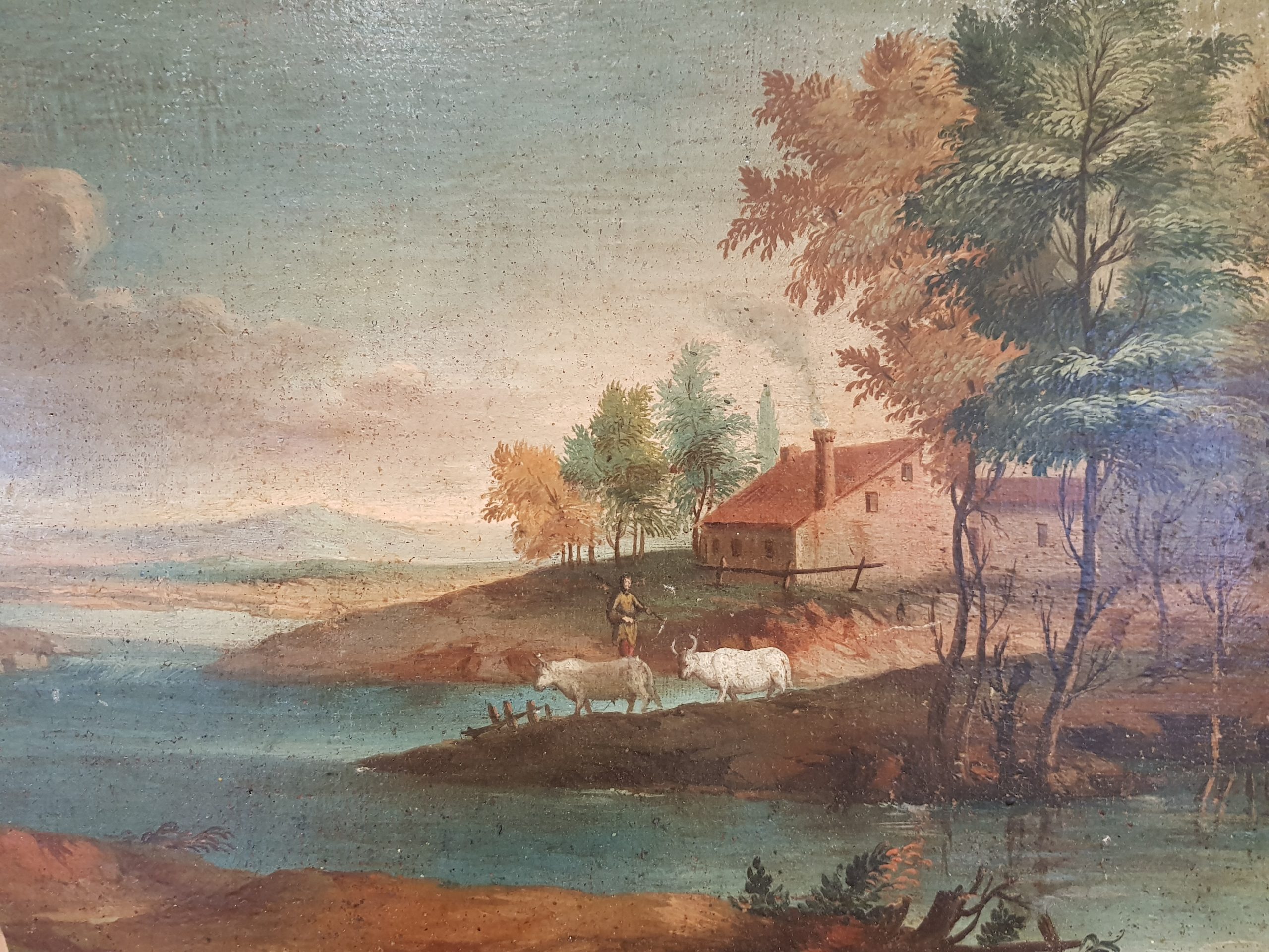 paesaggio_700_oliosutela_02