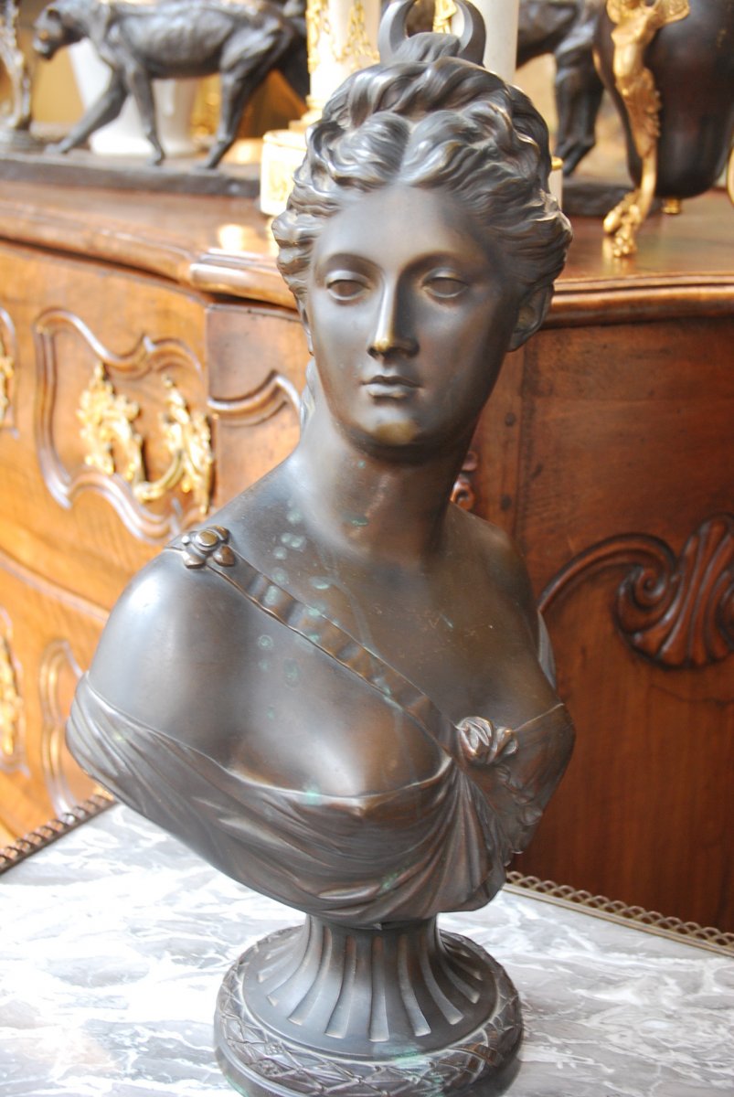 Diane D Après Houdon1