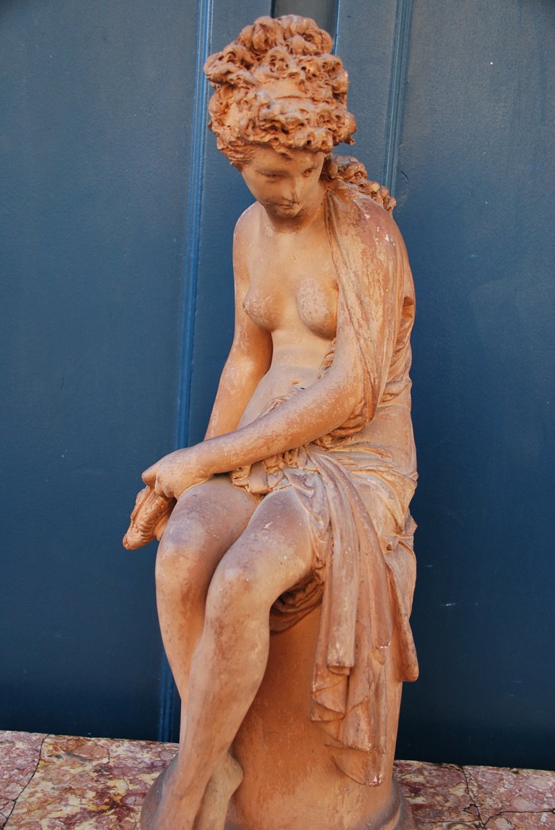 Carrier-belleuse1