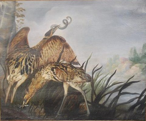 Weenix1