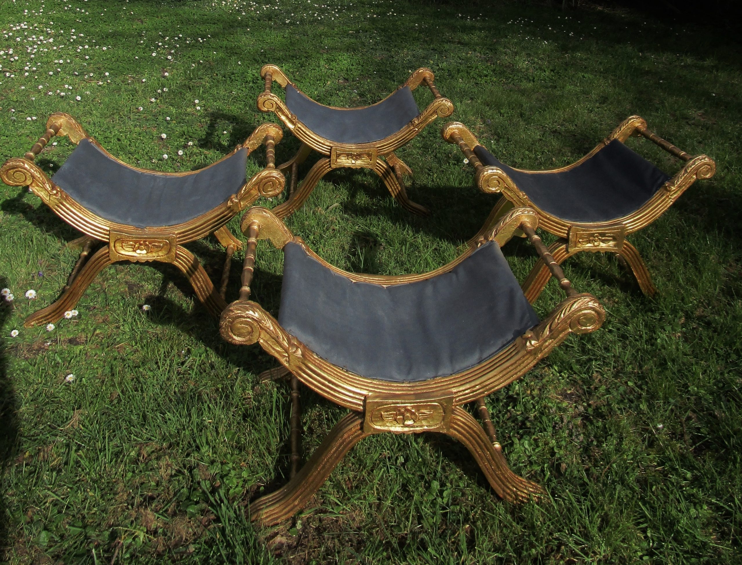 Curule 3 - 14 02 21 017