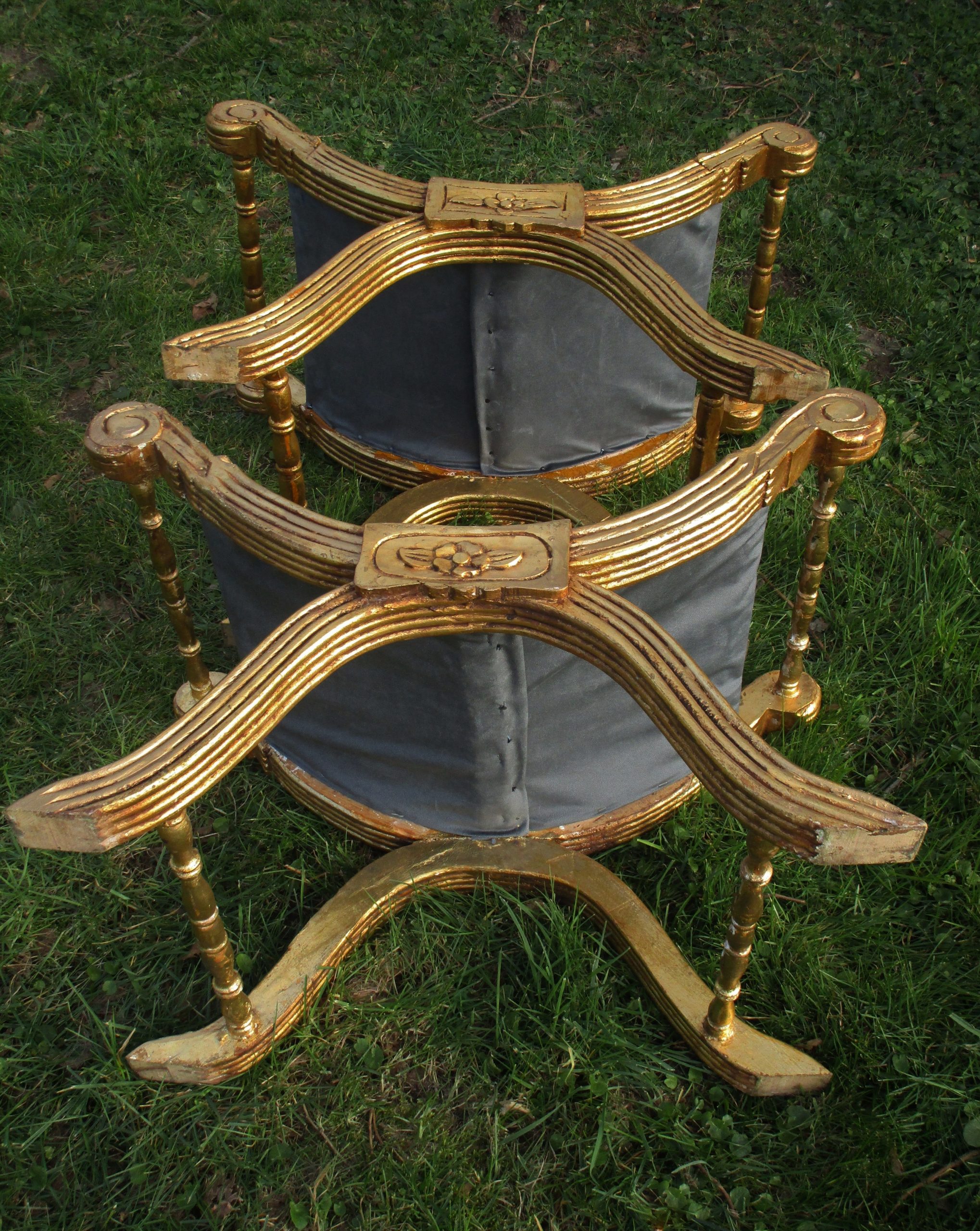 Curule 3 - 14 02 21 109