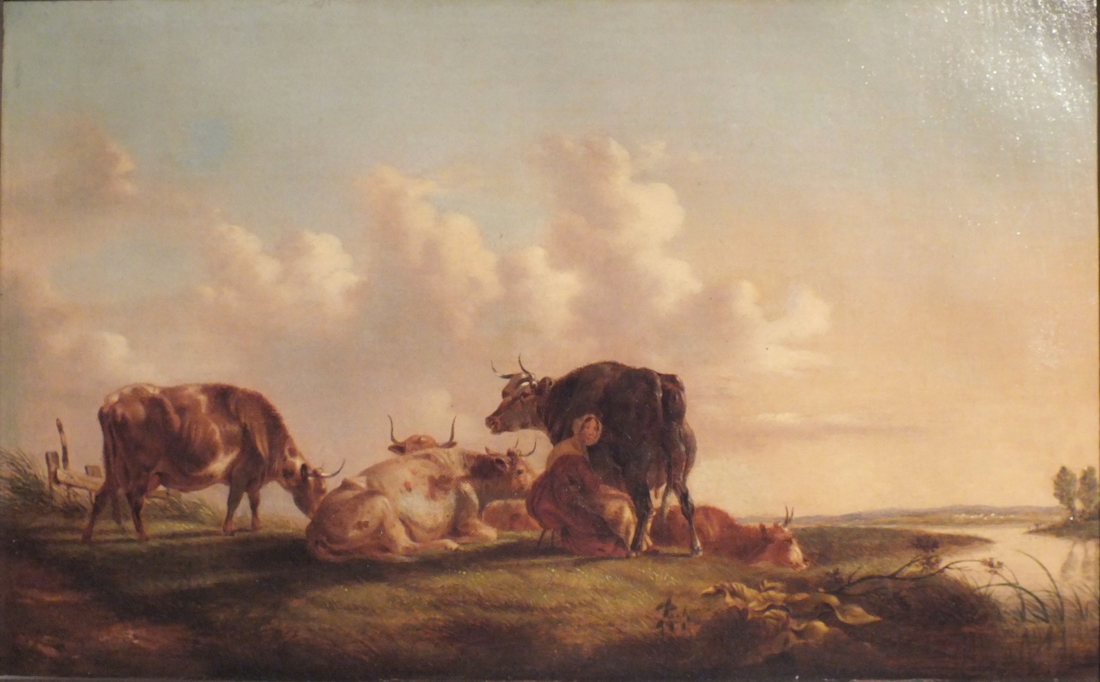 DSCF4247