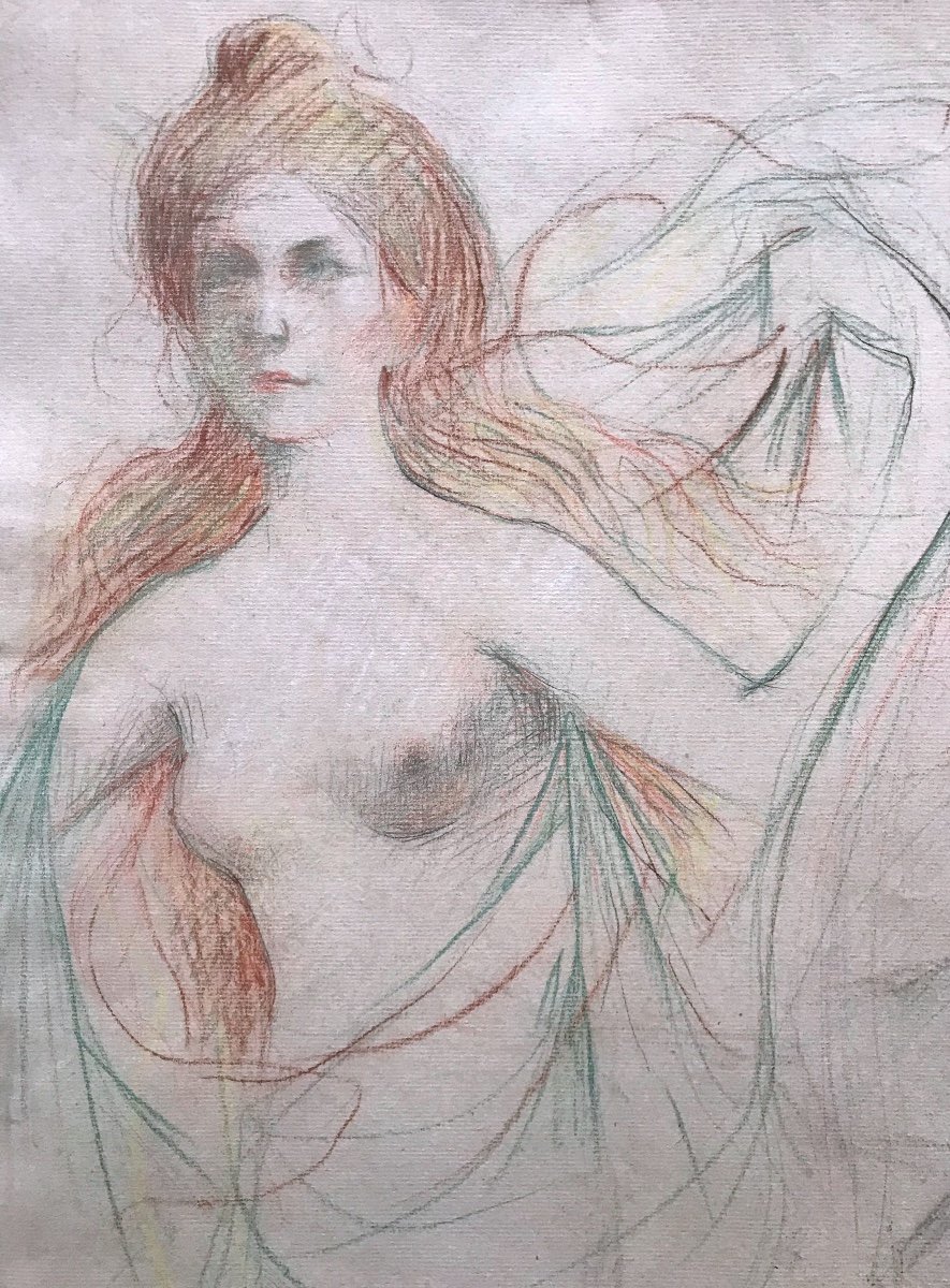 Femme Nue Aux Drapées 1