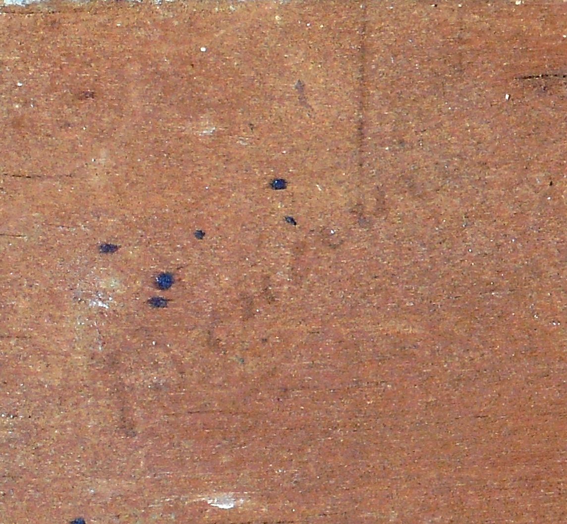 DSCN1096