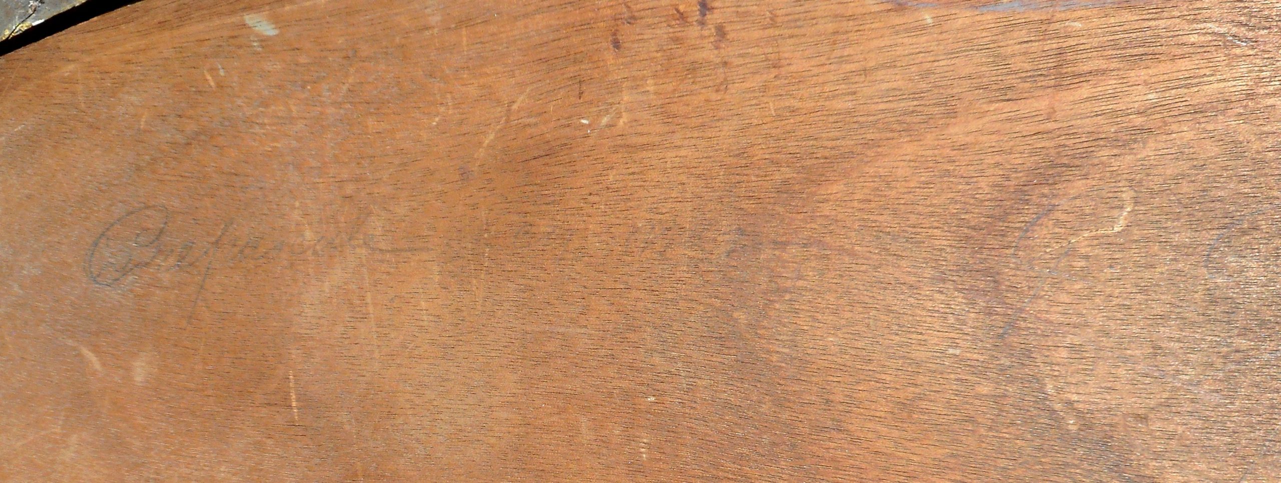 DSCN1331