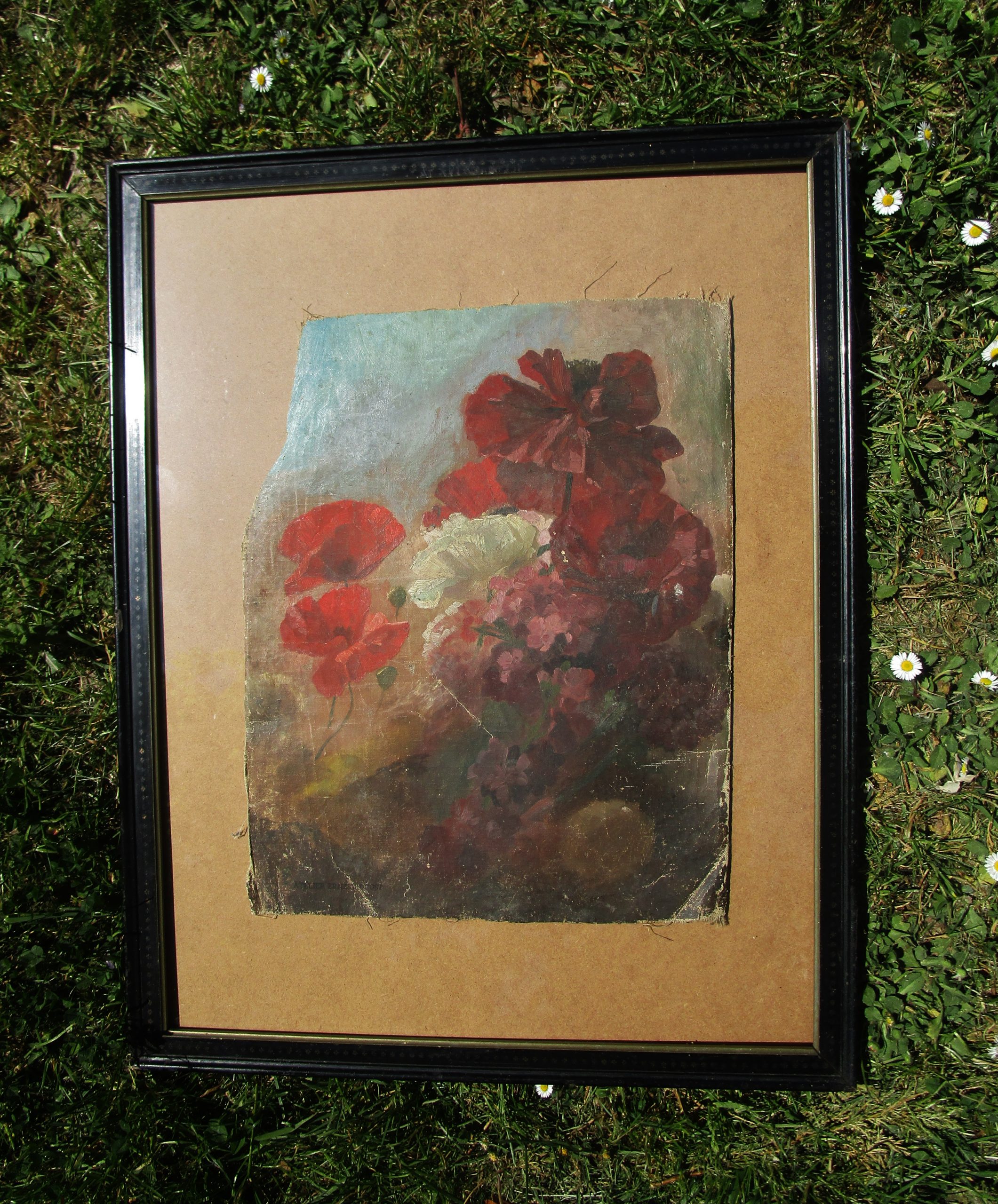 Pivoine QUOST - 27 04 21 003