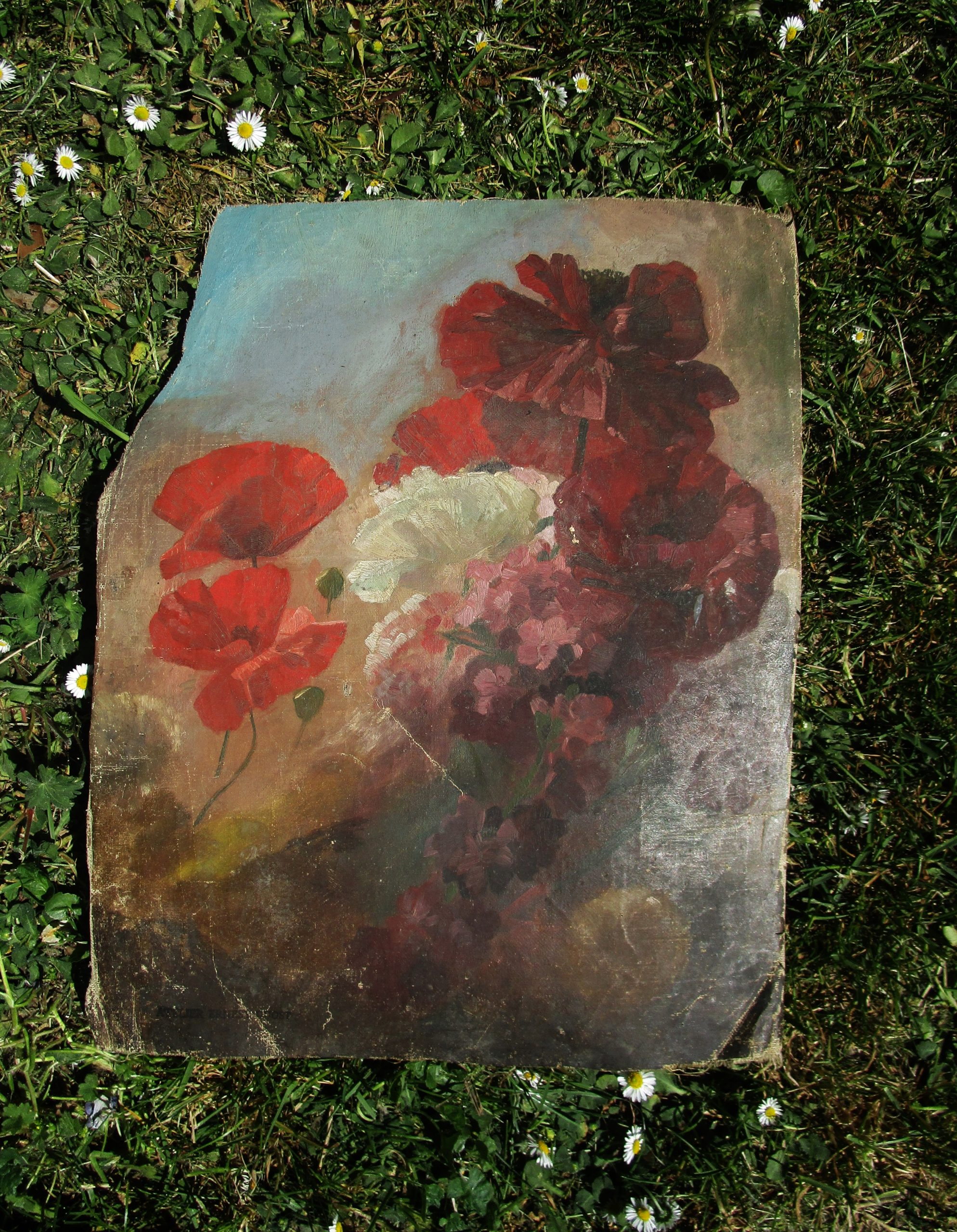 Pivoine QUOST - 27 04 21 005