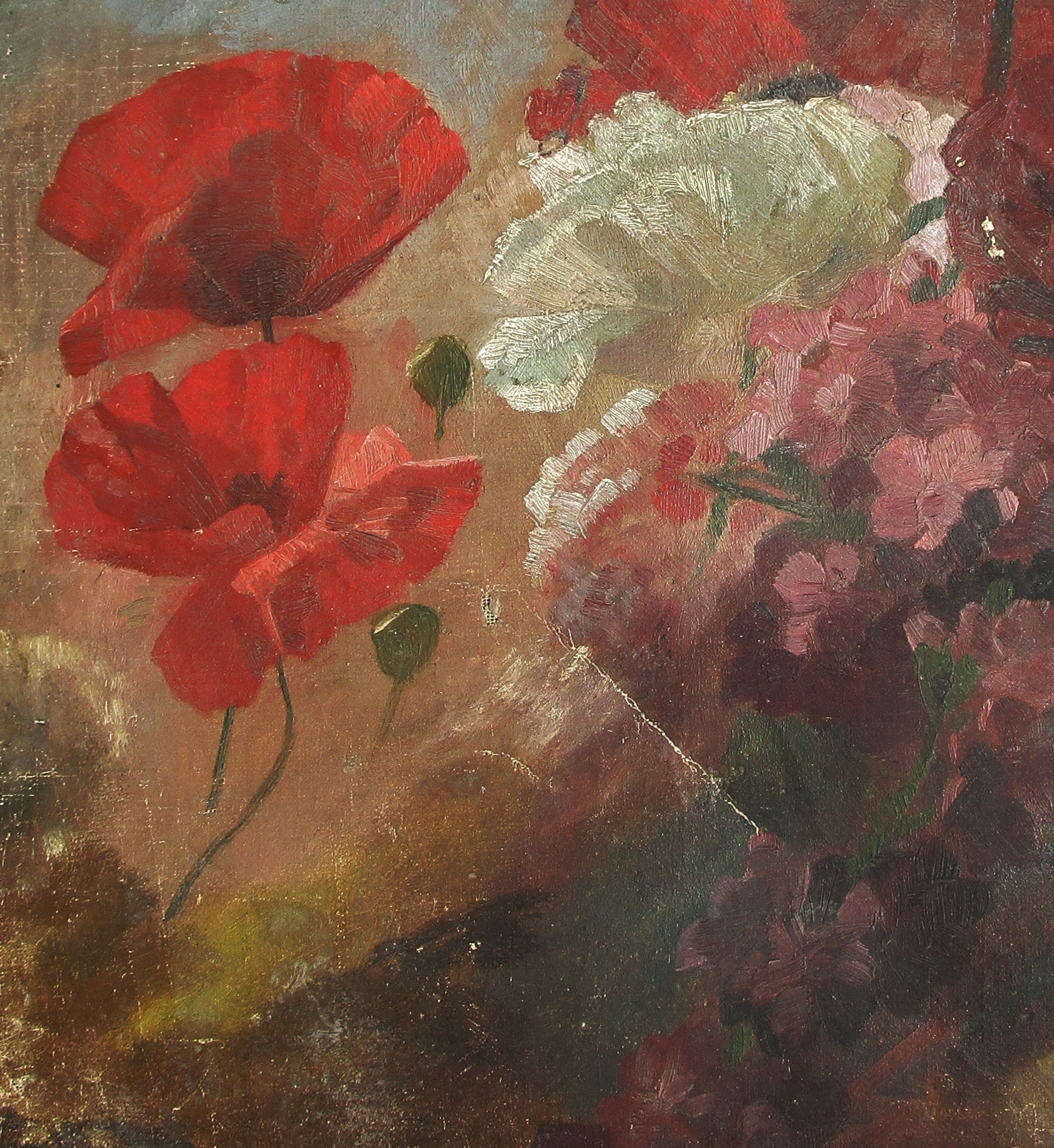 Pivoine QUOST - 27 04 21 007
