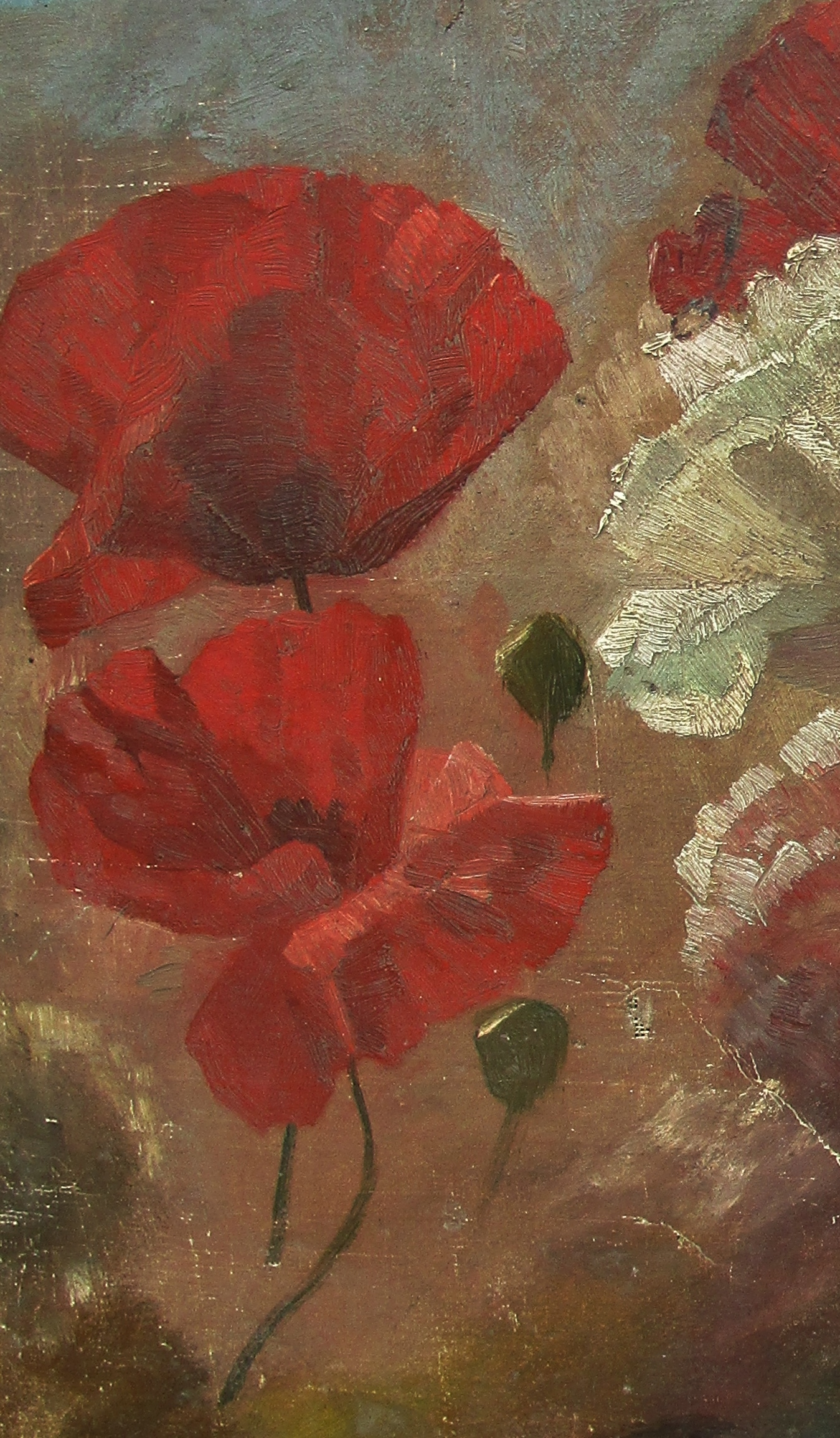 Pivoine QUOST - 27 04 21 013