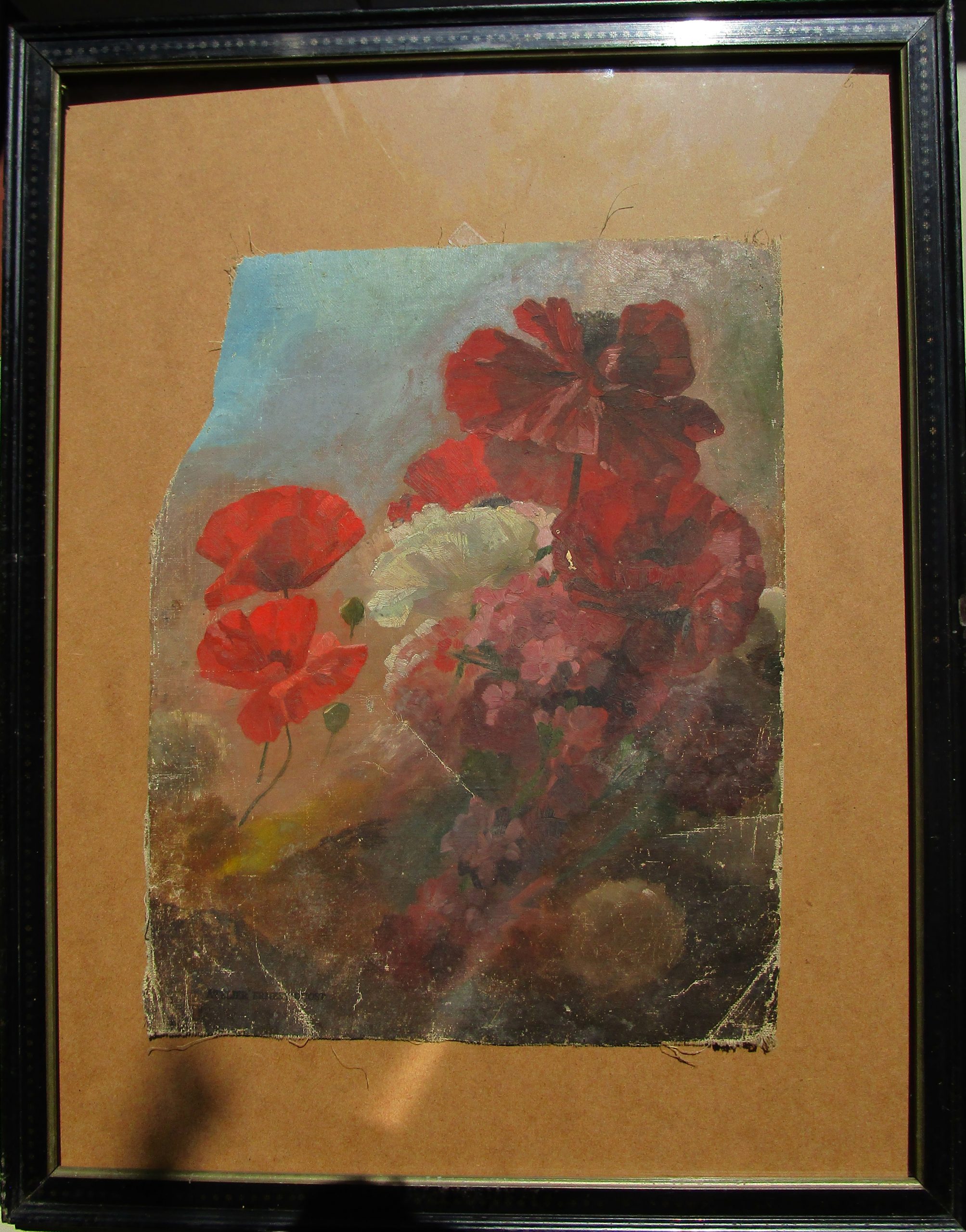 Pivoine QUOST - 27 04 21 019