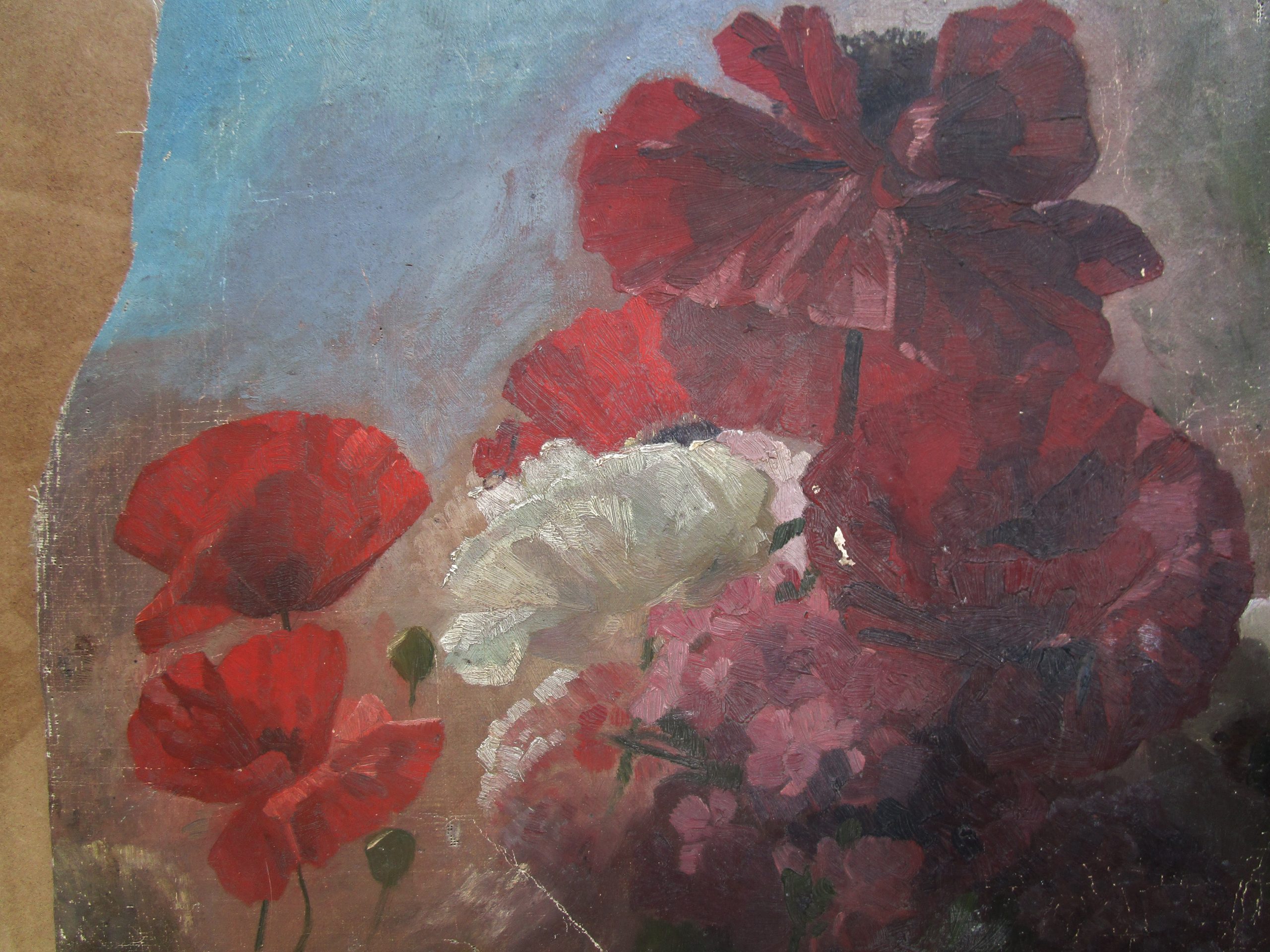 Pivoine QUOST - 27 04 21 029