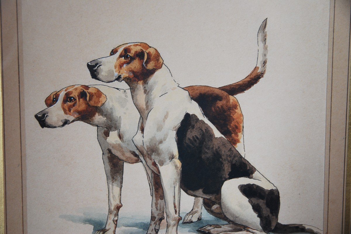 Condamy 4