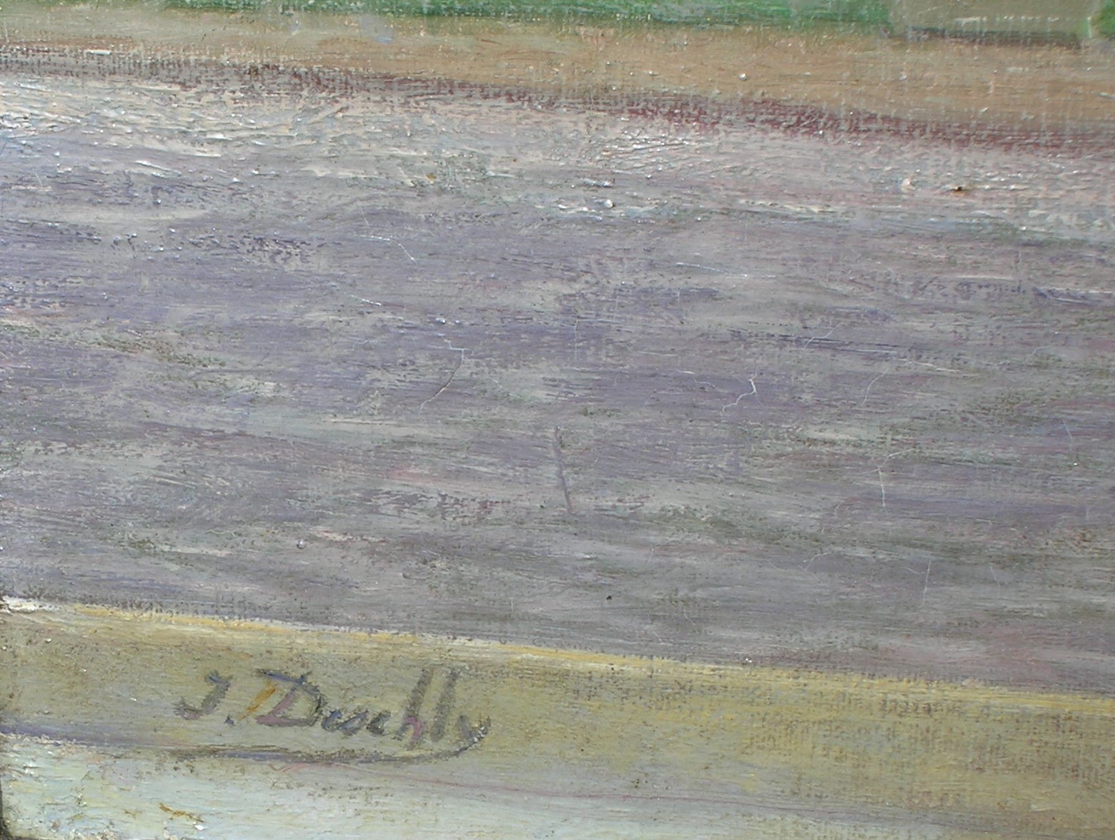DSCN7992