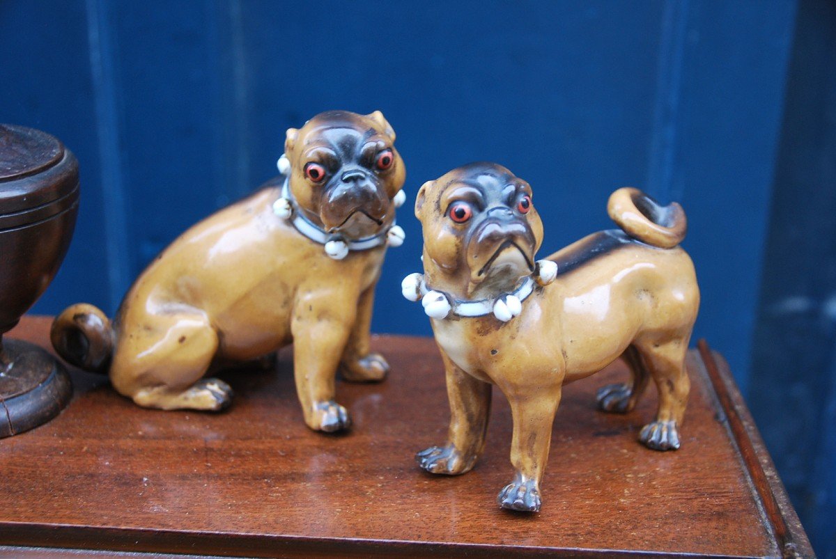 Petits Carlins 1