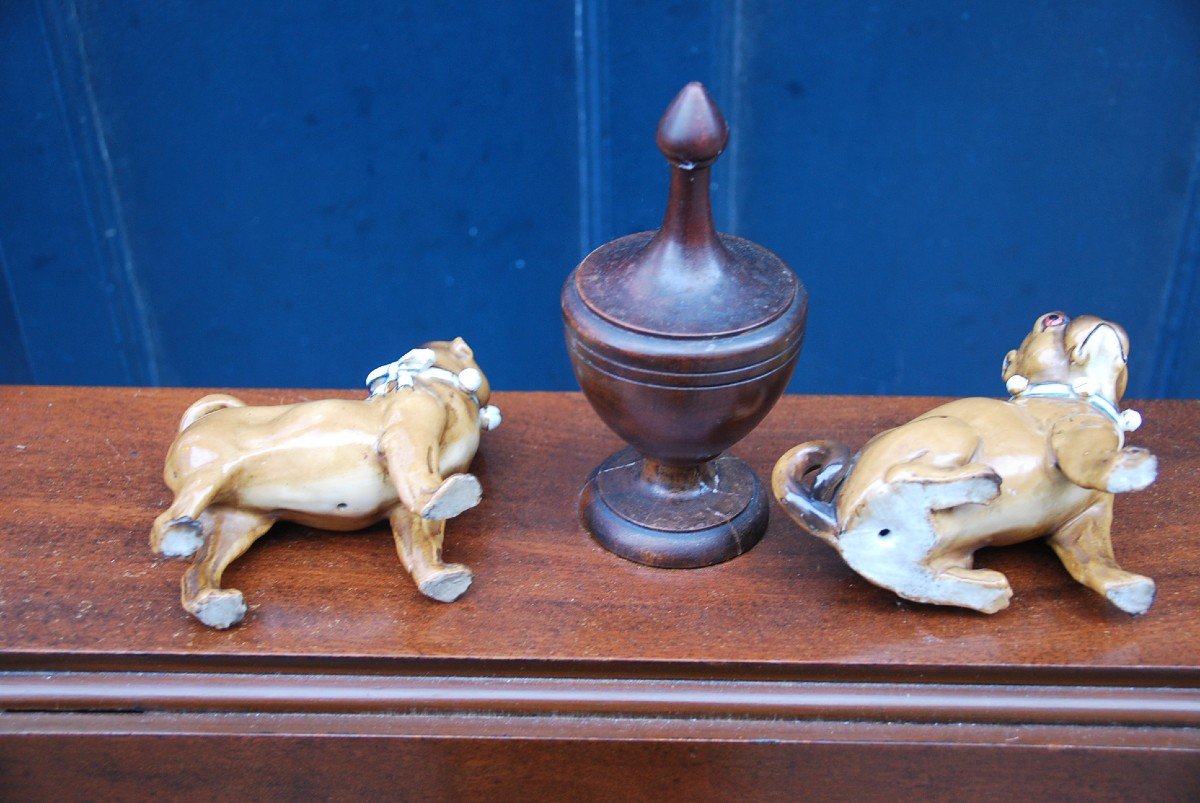 Petits Carlins 3