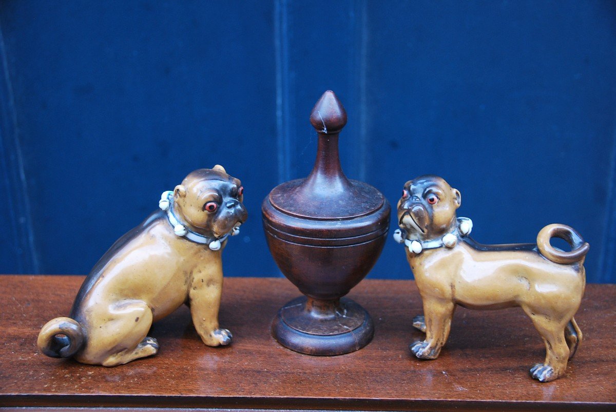 Petits Carlins 4