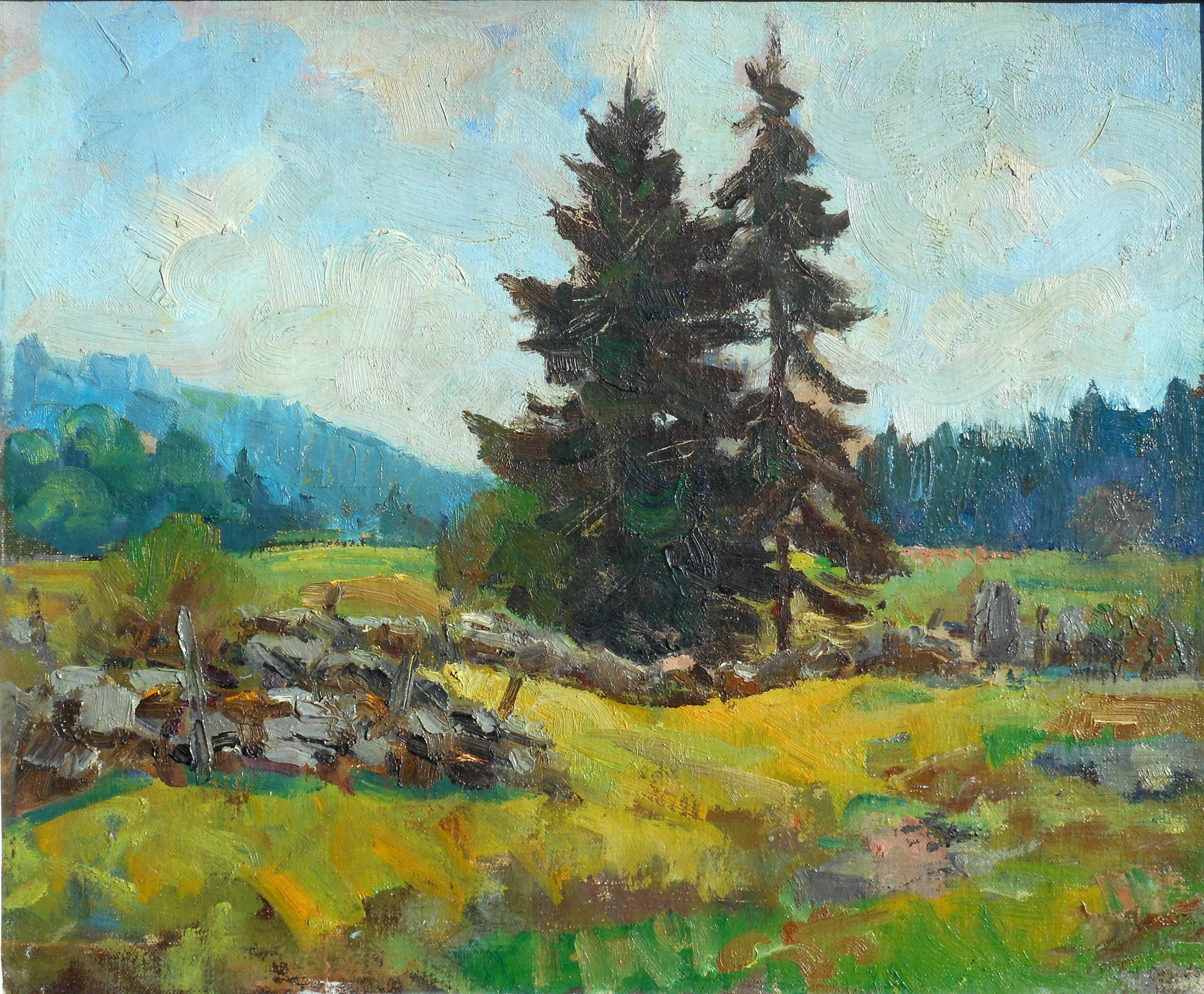 DSCN3162