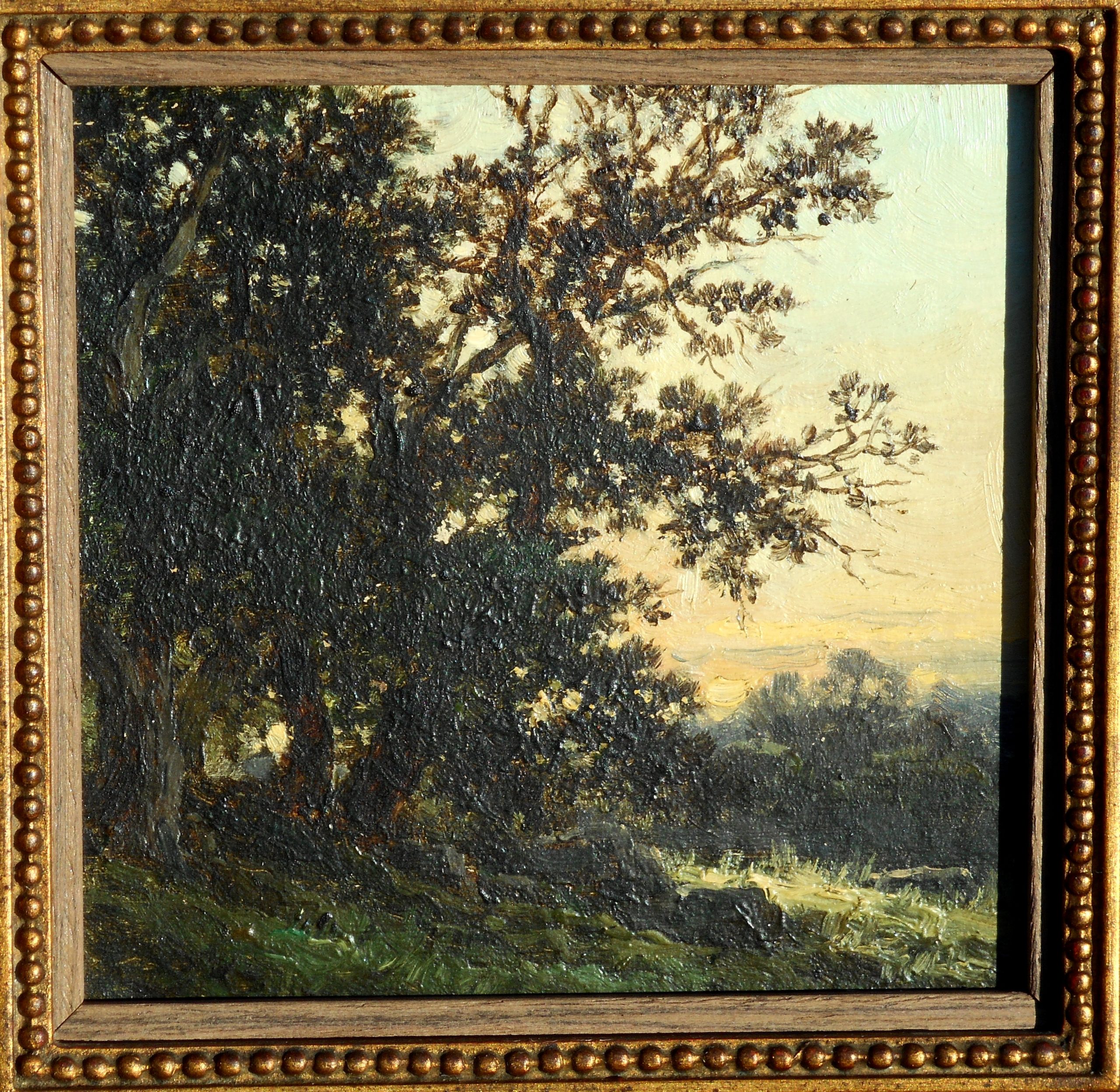 DSCN1699