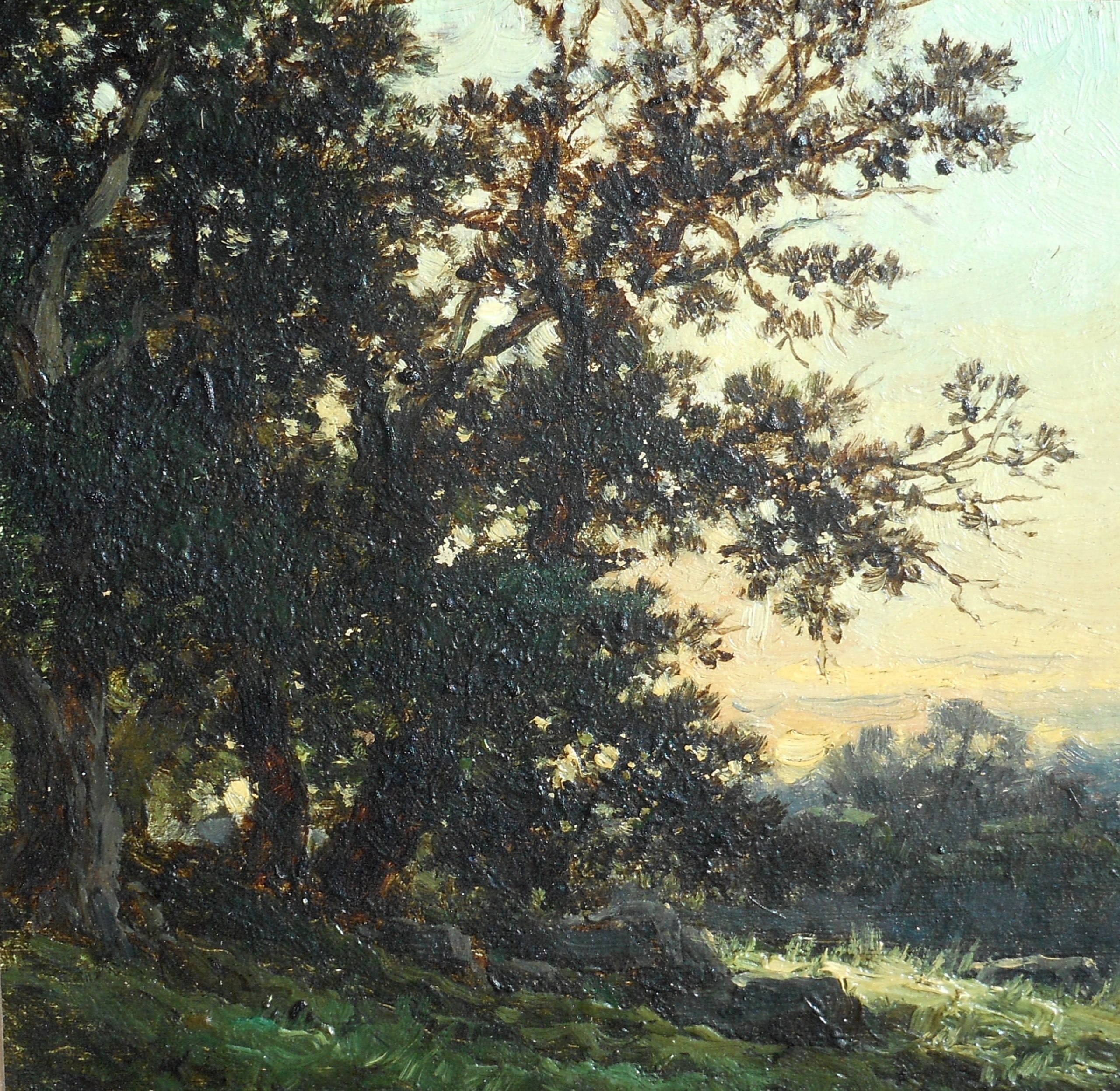 DSCN1700