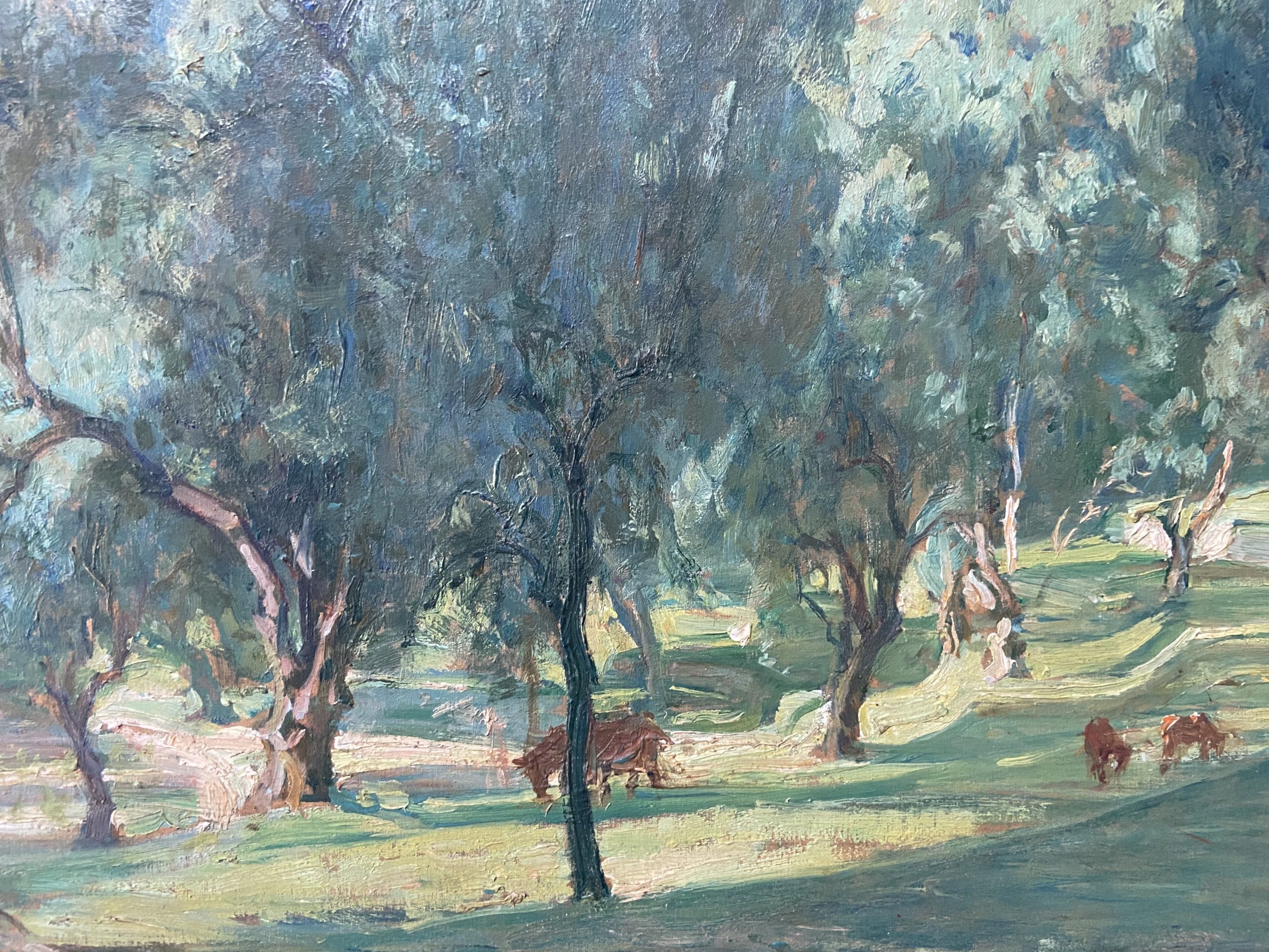 Guillonnet Oliveraie 7
