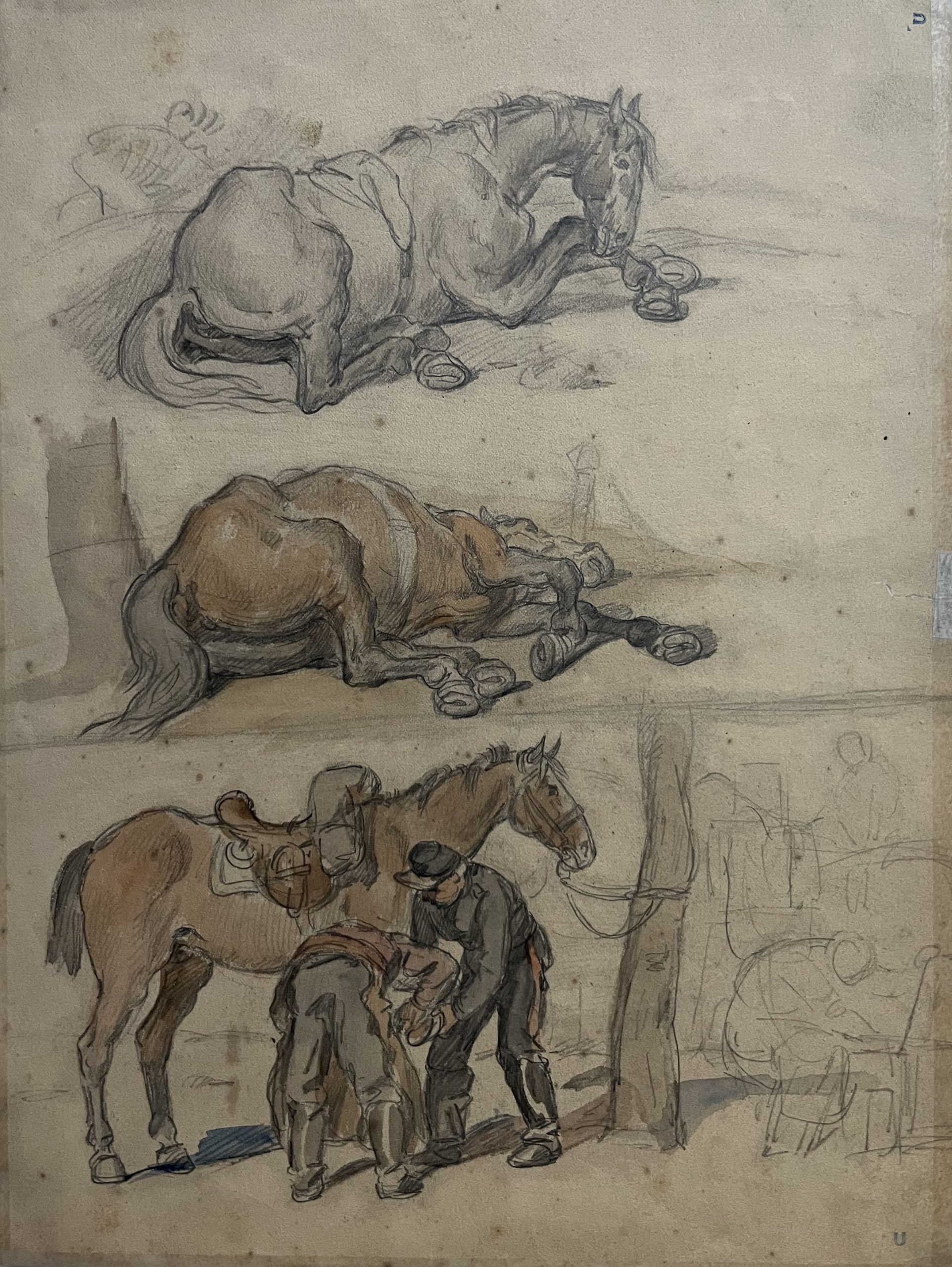 Auguste Gardanne2 6
